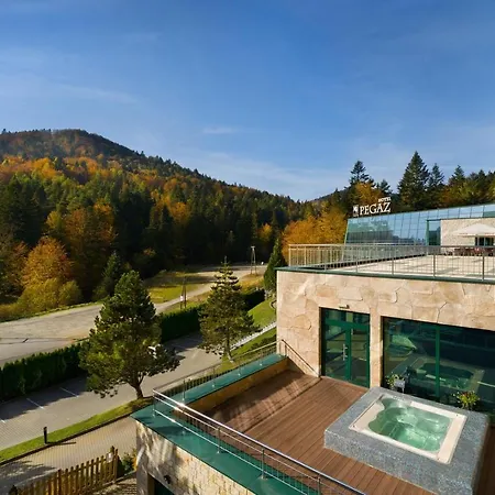 Pegaz 4* Krynica Zdroj